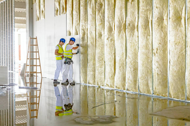 Best Eco-Friendly Insulation in , MA